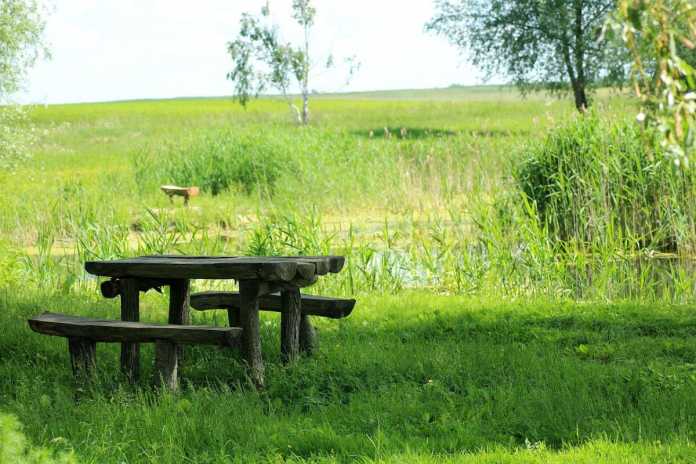 The Best Picnic Places in Kildare for Families