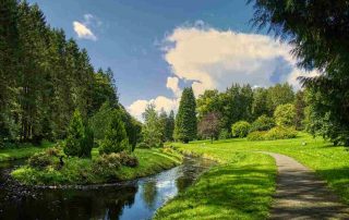 Walks in roscommon - Castlerea Demesne – ICP (1)