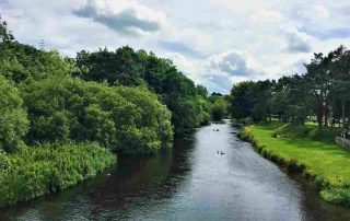 River Liffey, Newbridge, Kildare (1)