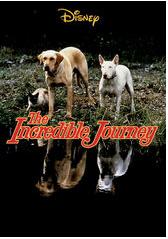 Best Family Movies incredible-journey