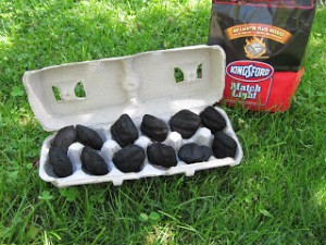 fire starter egg box