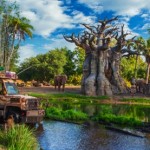 Disney Animal Kingdom