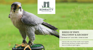 birds of prey event bunratty castle