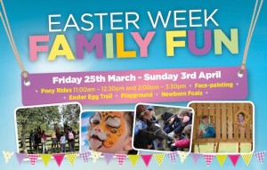 Easter Activities for Families
