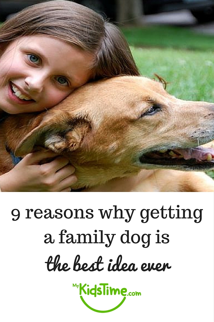 9 Reasons Why Getting a Family Dog is the Best Idea Ever