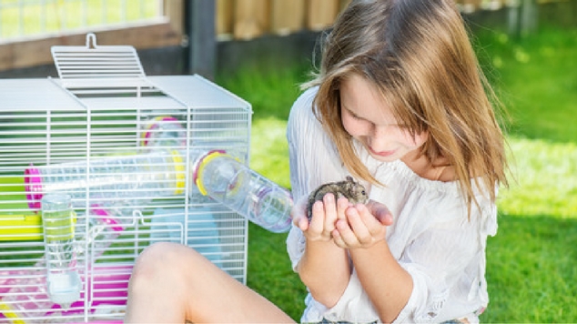 best first pets for adults