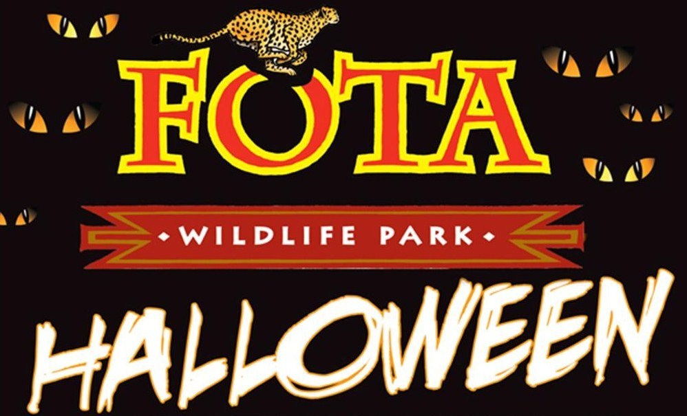 25 Hauntingly Good Halloween Hangouts for Kids in Ireland