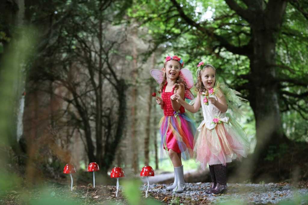 Fairy Trail at The Johnstown Estate