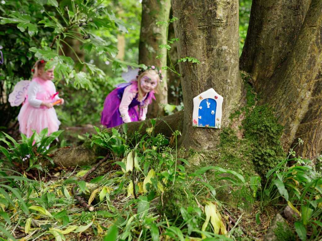 ardilaun-fairy-trail-new-28