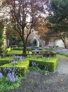 huguenot cemetary dublin