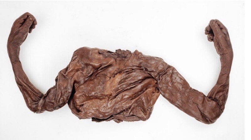 NMI National Museum of Archaeology bog bodies horrible histories in Ireland