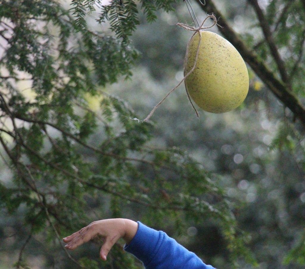 Easter Egg Hunt at Lismore Castle Gardens family things to do in Ireland at Easter Whats on in Waterford