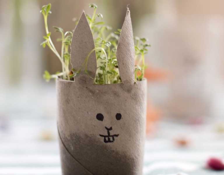 7 Fun Ways to Grow Cress that Kids Will Love