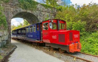Waterford Suir Valley Railway, Waterford