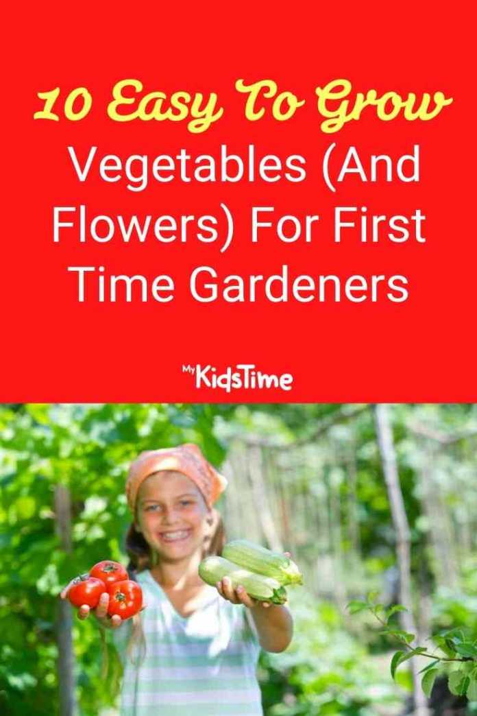 10 Easy to Grow Vegetables for First Time Gardeners