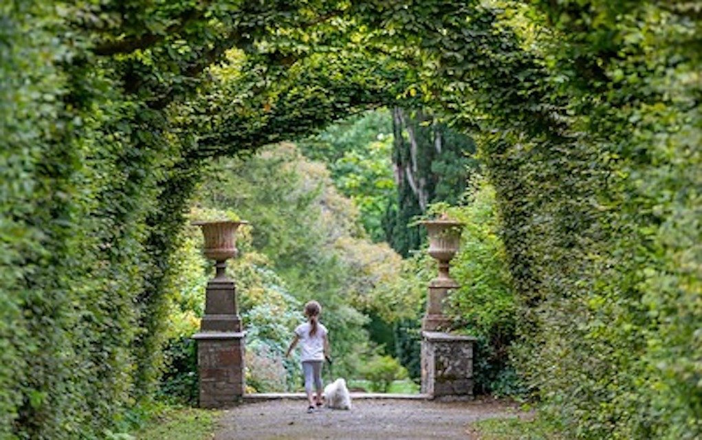 Birr Castle Gardens