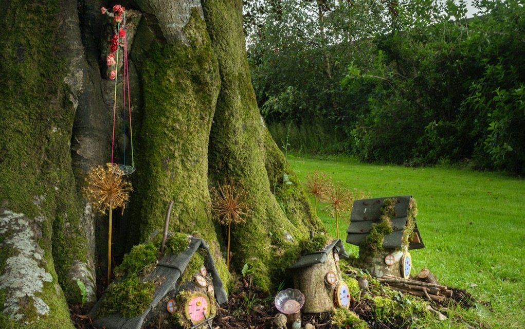 things to do in Mayo