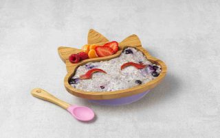 Apple and blueberry Porridge