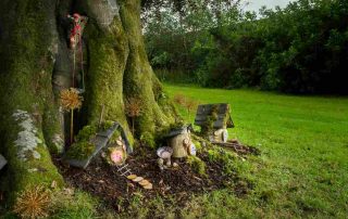 Fairy Trail at NMI Country Life