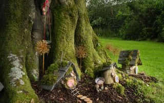 National Museum of Ireland Country Life Fairy Trail