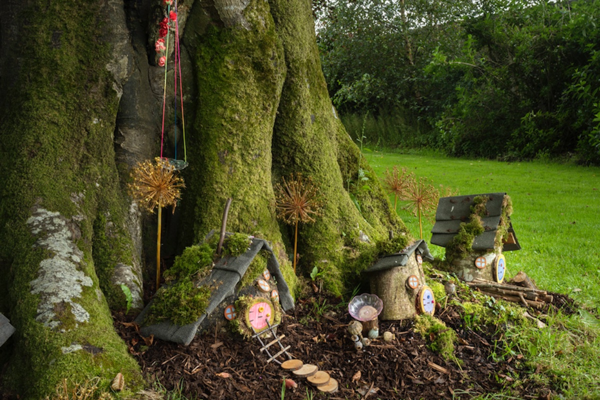 National Museum of Ireland Country Life Fairy Trail