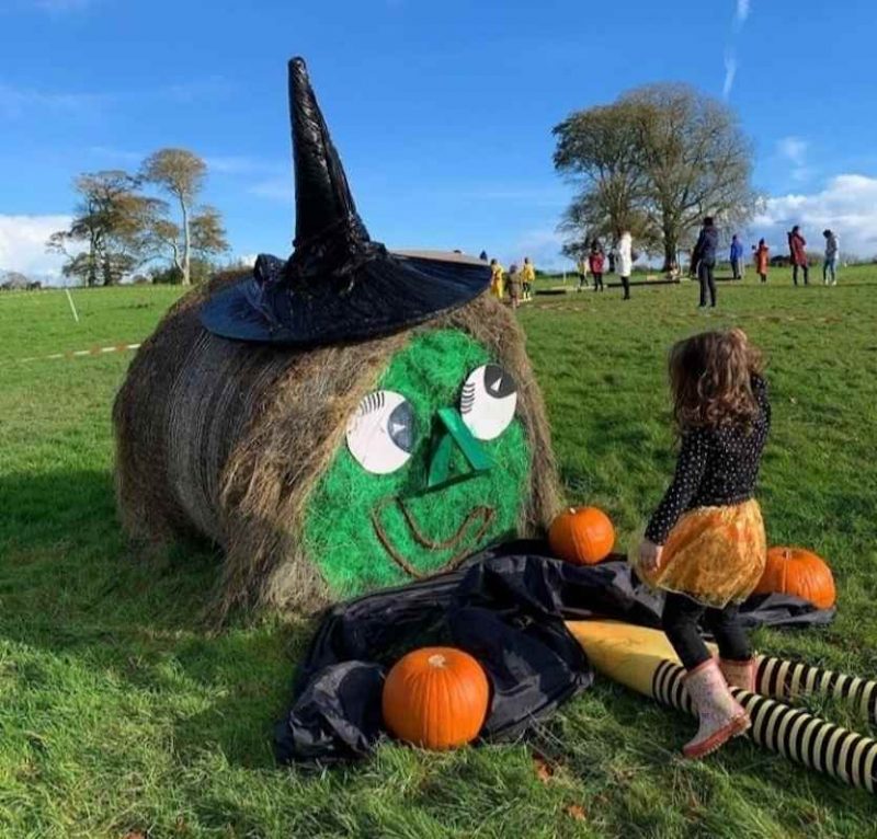 We Love These Popular Places for Pumpkin Picking in Ireland