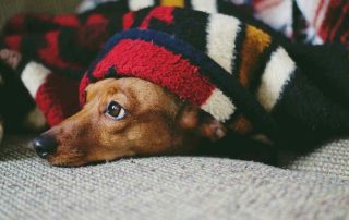 Tips-to-help-keep-your-house-warm-this-winter