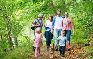 Fun family days out with Irish Heritage Trust