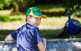 family review of a visit Johnstown Castle