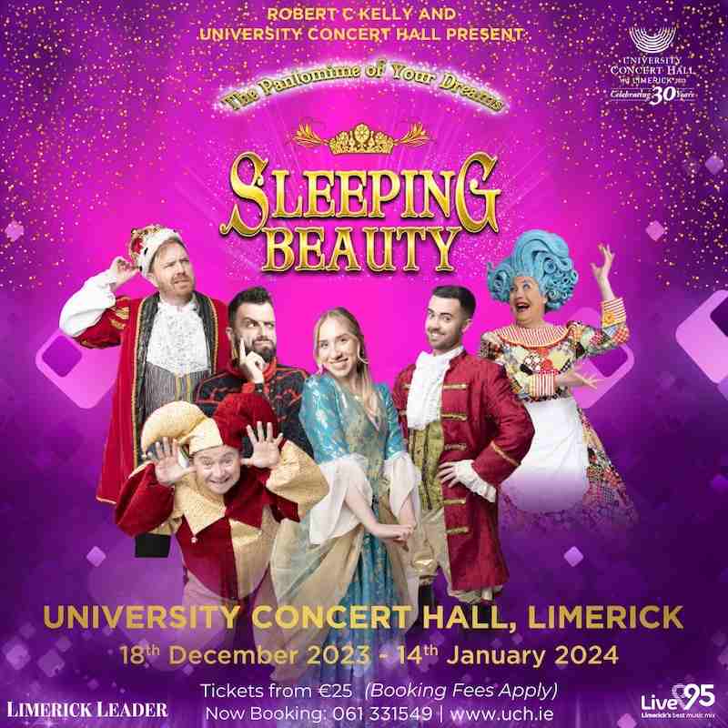 Best Pantos Ireland
