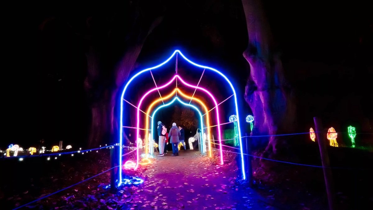 Antrim Castle Gardens Winter Wonderland