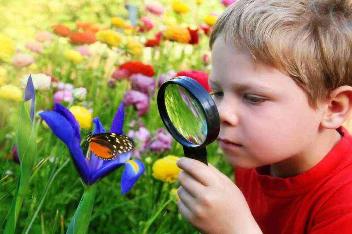 10 of the Best Nature Activities for Kids to Do in Your Own Garden