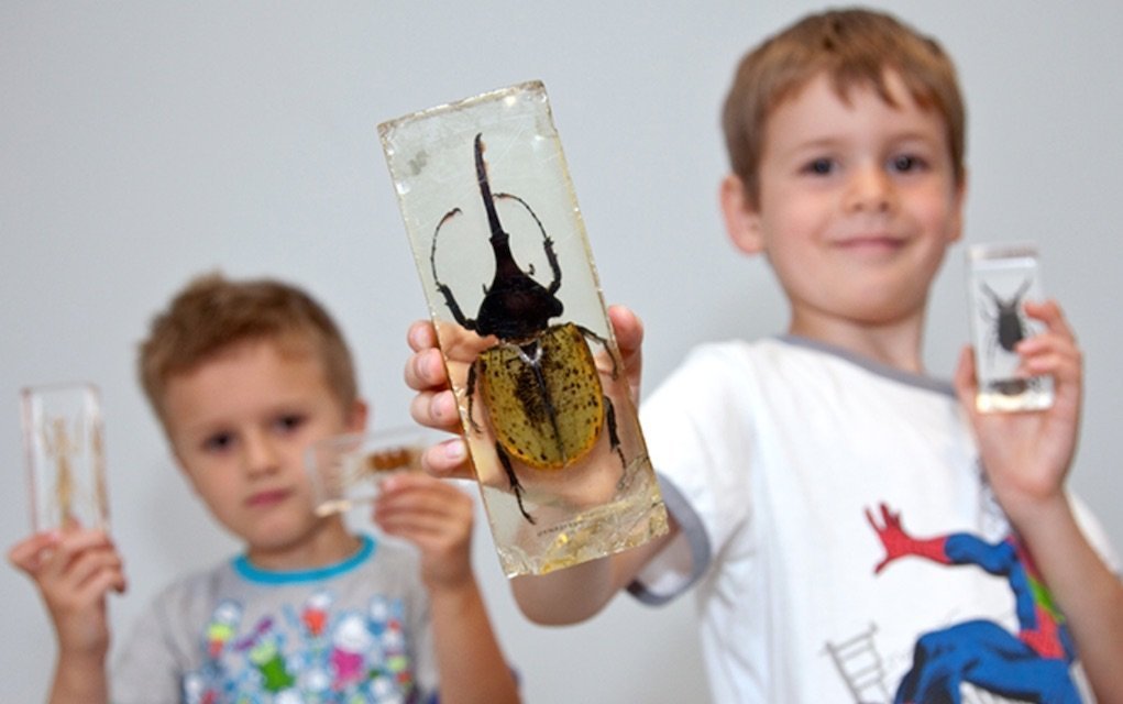 12 Fun Free Things to Do at National Museum of Ireland Locations