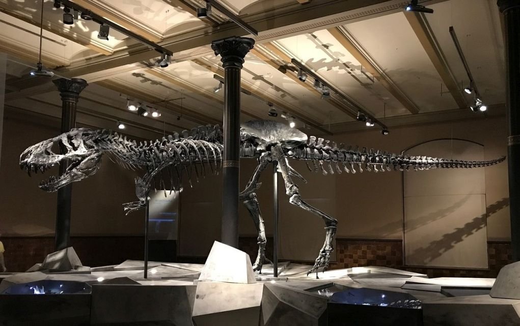 20 Outstanding Places to See Dinosaurs in the UK