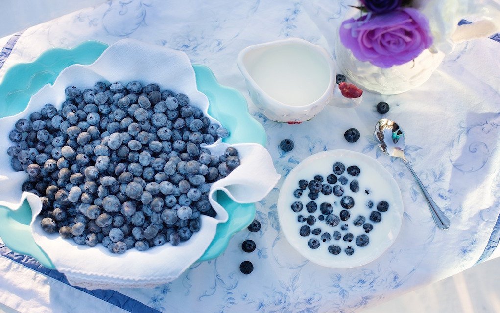 5 More Super Healthy Kids Snacks that are Nut Free!