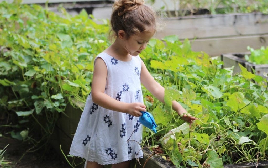 How to Create a Child-Friendly Garden that is Stylish and Functional
