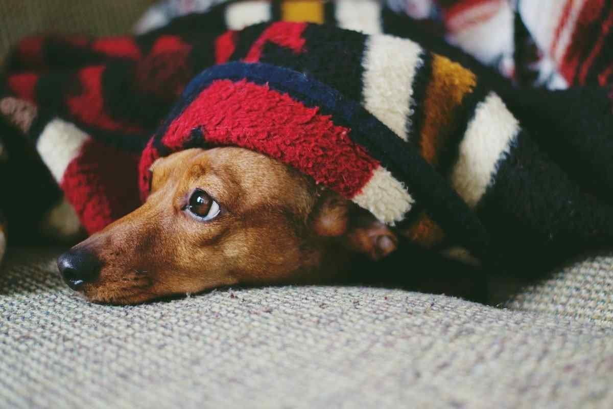 6 Easy Ways to Keep the House Warmer This Winter