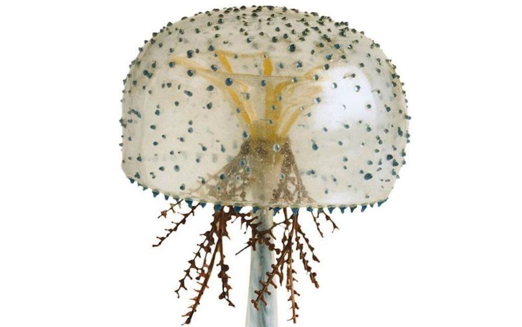7 Fascinating Items From The National Museum of Ireland Online Collection