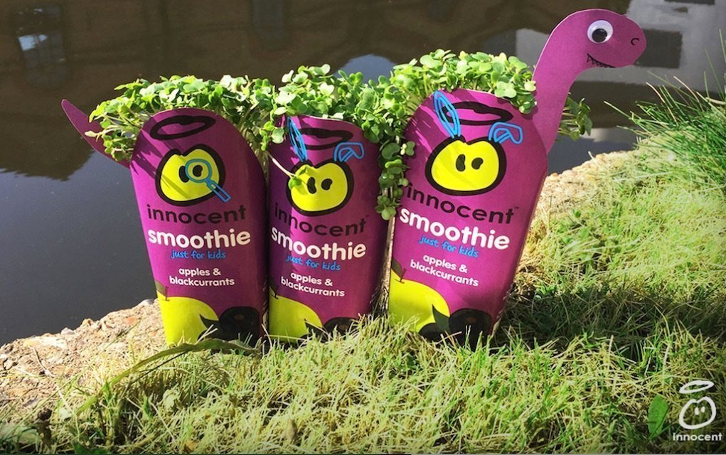 7 Fun Ways to Grow Cress that Kids Will Love