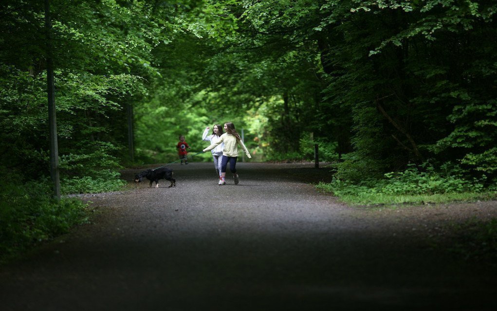 7 Interesting Family Walks to Enjoy at Lough Key in Roscommon