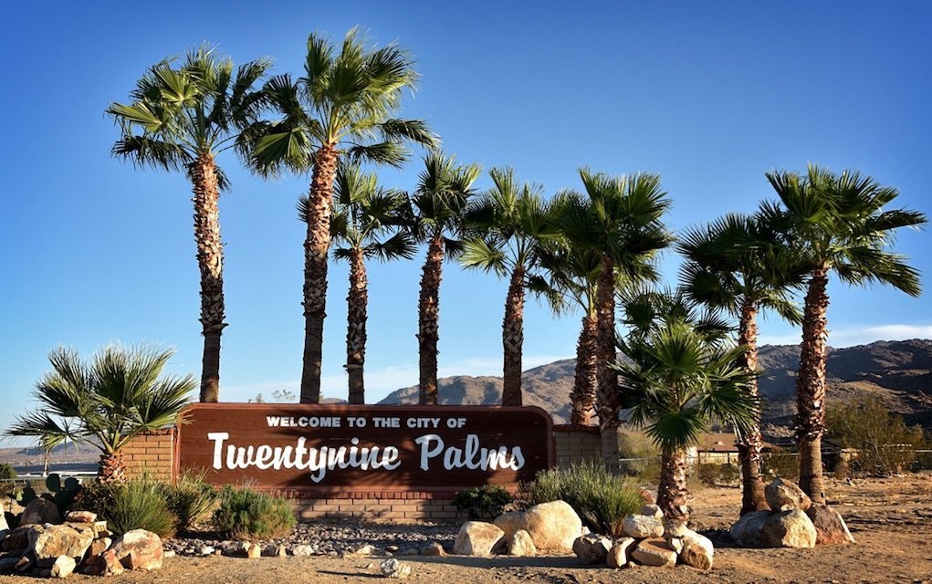 8 Fun Things to Do in Palm Springs With Kids