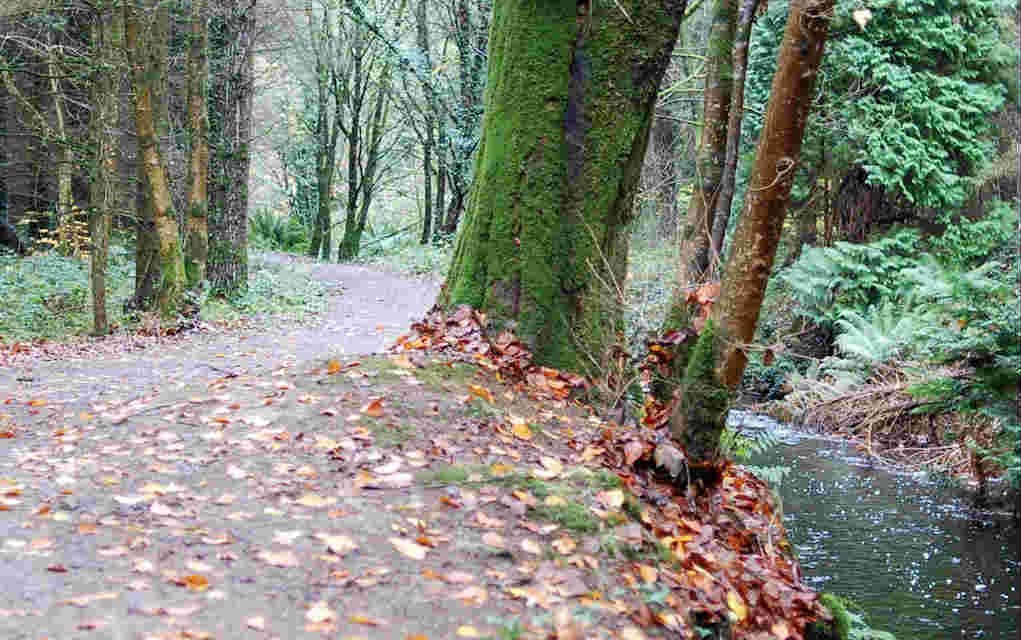 8 Places for Great Family Walks in Longford
