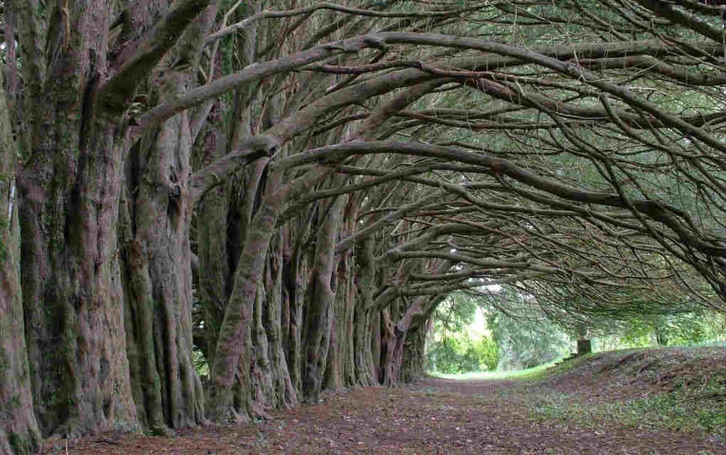 Go Exploring! 9 Great Family-Friendly Walks in Carlow
