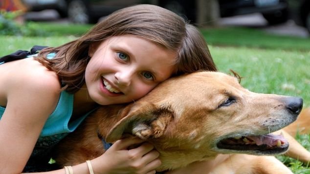 9 Reasons Why Getting a Family Dog is the Best Idea Ever