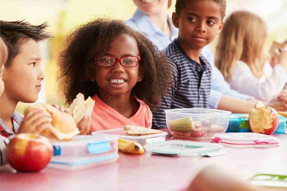 99 Lunch Box Tips and Recipes – All Tried and Tested