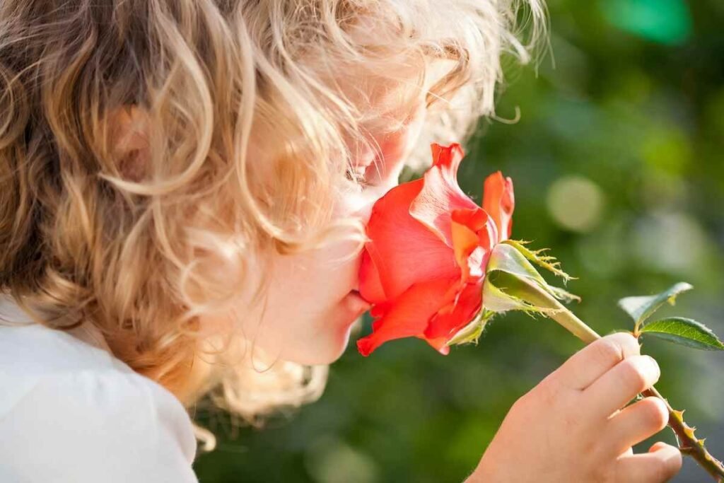 Touch, Taste, Smell…These Sensory Plants Will Transform Your Garden