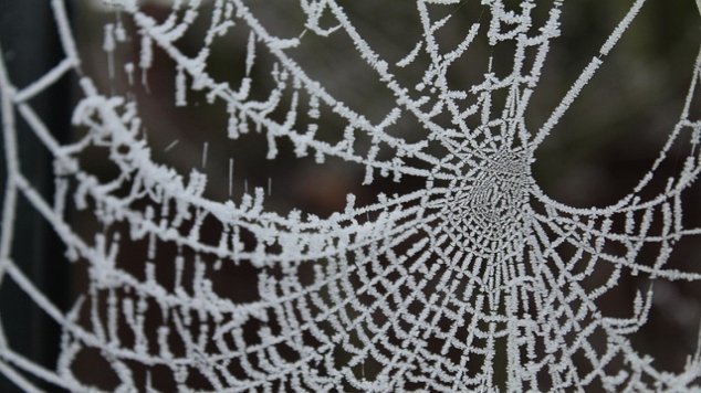 Fun Outdoor Activities to Help Avoid Cabin Fever