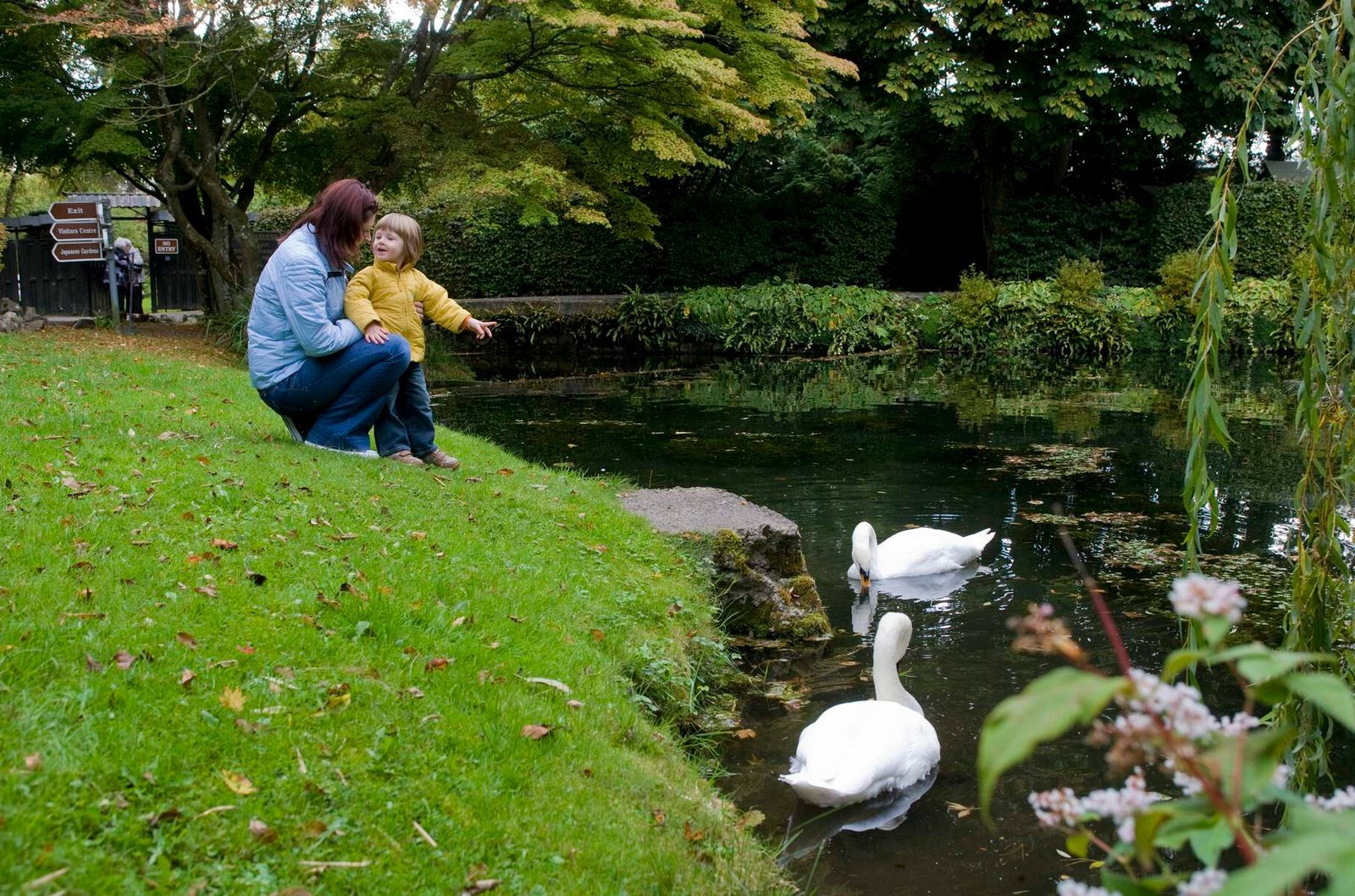 Best Outdoor Places in Kildare for Families