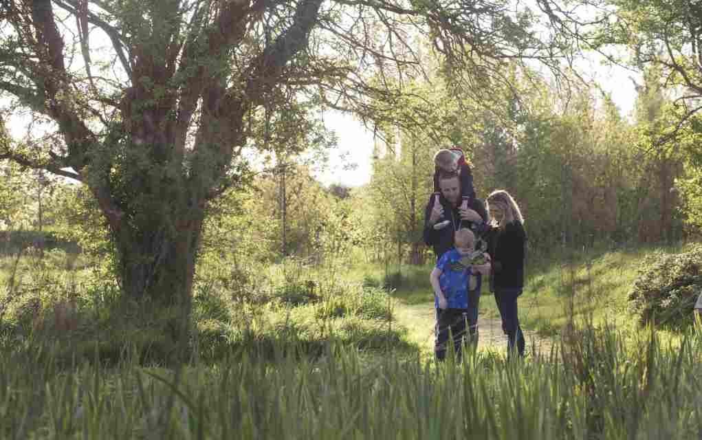 Best Outdoor Places in Westmeath for Families