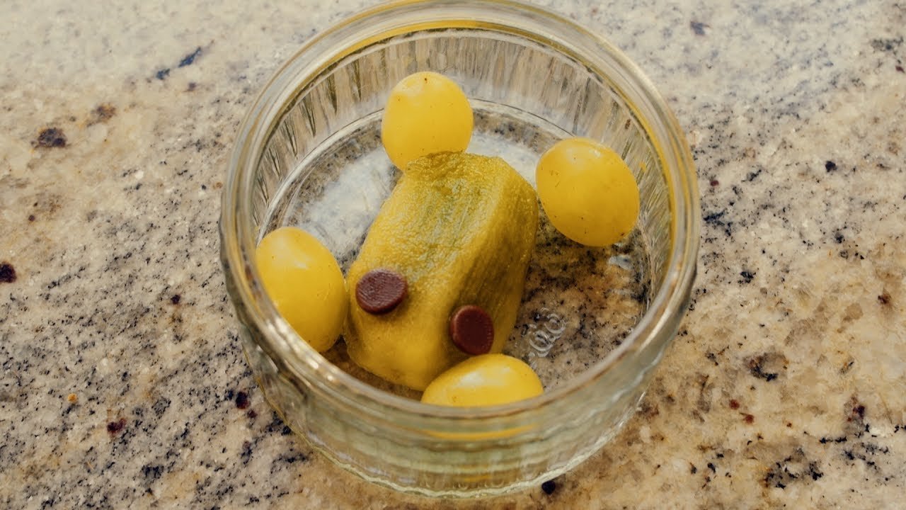 Creative Lunchbox Ideas: Watch How to Create a Tasty Fruit Turtle